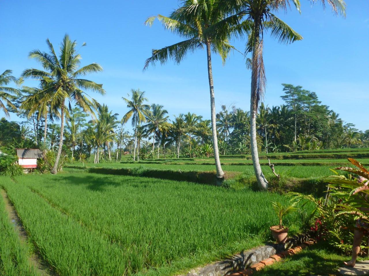 Bali Sawah Indah Hotel Ubud Eksteriør billede