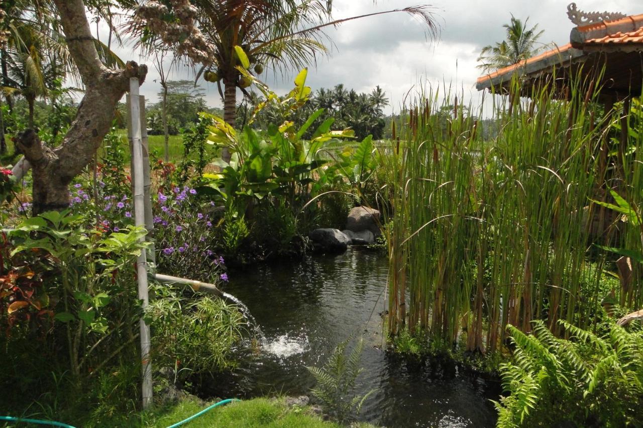 Bali Sawah Indah Hotel Ubud Eksteriør billede