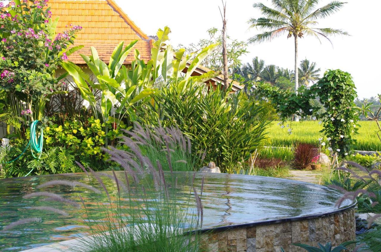 Bali Sawah Indah Hotel Ubud Eksteriør billede
