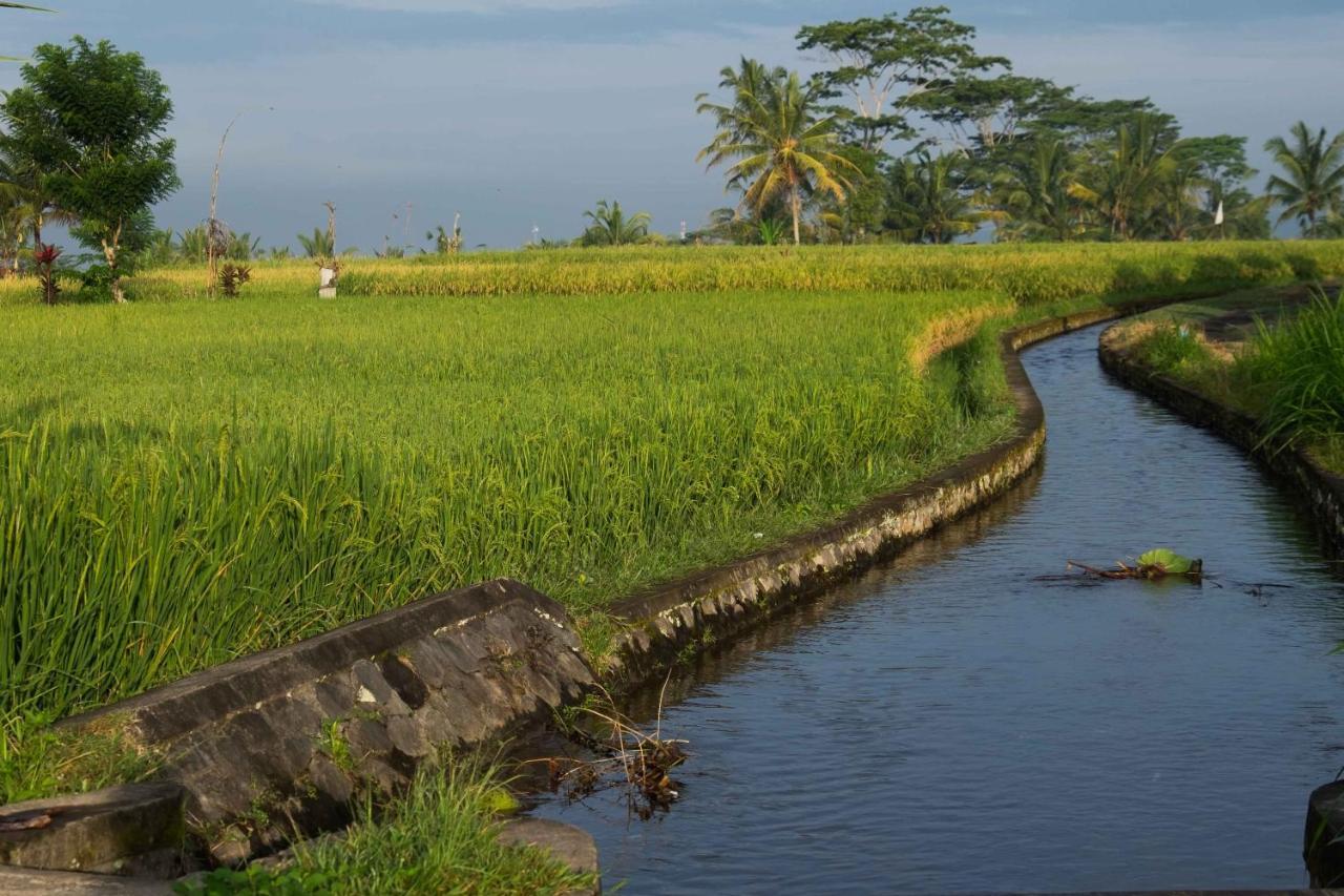 Bali Sawah Indah Hotel Ubud Eksteriør billede